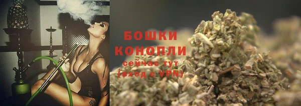 сатива Белокуриха