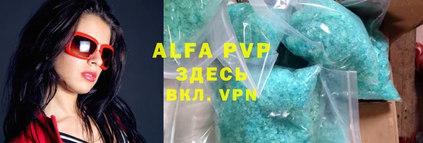 сатива Белокуриха