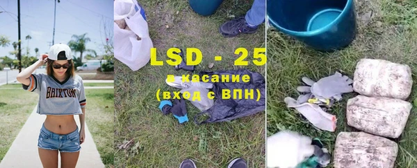 PSILOCYBIN Пестово