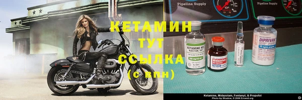 сатива Белокуриха