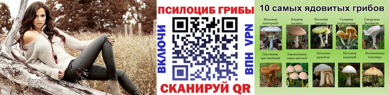 Купить закладки  Алексеевка  Псилоцибиновые грибы GOLDEN TEACHER 